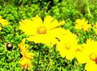 �܂��Ō��t������